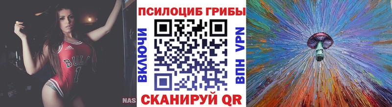 Галлюциногенные грибы Psilocybe Менделеевск